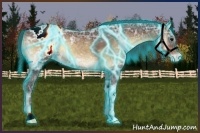 Horse Color:Thunderstruck Brown Ice Onyx Appaloosa 