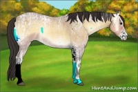 Horse Color:White Spotted Buckskin Ice Roan Onyx 