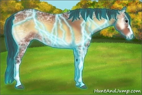 Horse Color:Thunderstruck Bay Ice Onyx