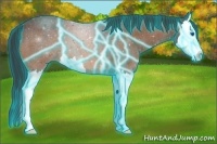 Horse Color:Thunderstruck Bay Roan Splash 