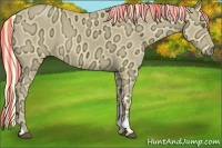 Horse Color:Painted Palomino Ice Tobiano 