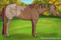 Horse Color:Painted Chestnut Ice Rabicano 