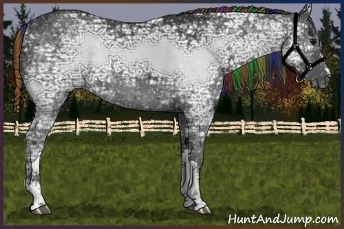 Horse Color:Painted Black Ice 