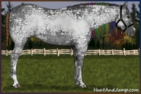 Horse Color:Painted Black Ice 
