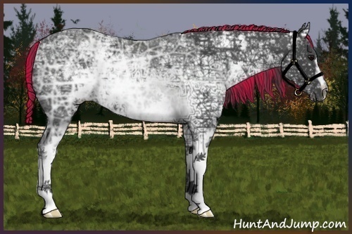 Horse Color:Painted White Spotted Black Ice