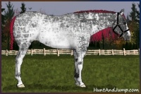 Horse Color:Painted White Spotted Black Ice 