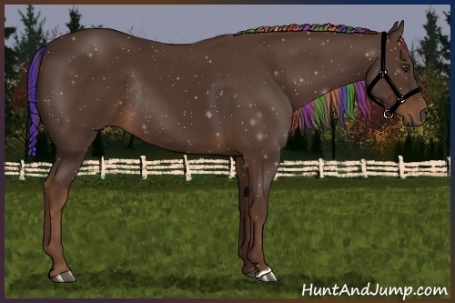 Horse Color:Painted Liver Chestnut Rabicano 