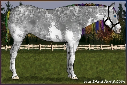 Horse Color:Painted Black Ice Splash