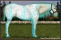 Horse Color:Thunderstruck White Spotted Red Dun Ice Appaloosa 