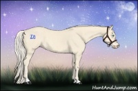 Horse Color:Cremello 