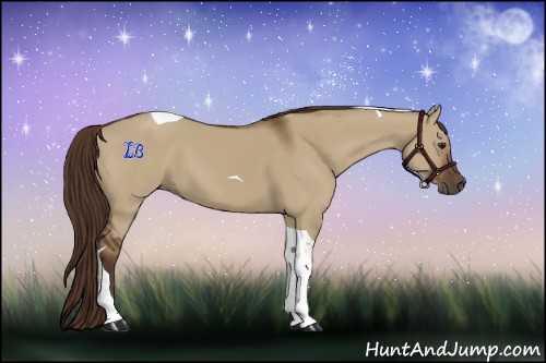 Horse Color:Liver Red Dun Tobiano