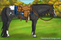 Horse Color:Black Sabino Appaloosa Rabicano