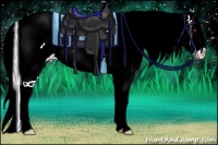 Horse Color:Gold Champagne Chinchilla Ice Onyx Splash Frame Snowcap