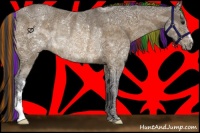 Horse Color:Painted Buckskin Ice Rabicano 