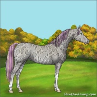 Horse Color:Painted Smoky Creme Ice Onyx 
