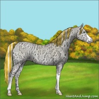 Horse Color:Painted Silver Perlino Ice Onyx 