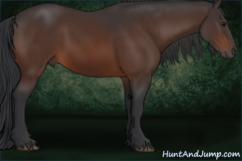 Horse Color:Brown 
