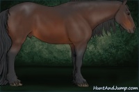 Horse Color:Brown 