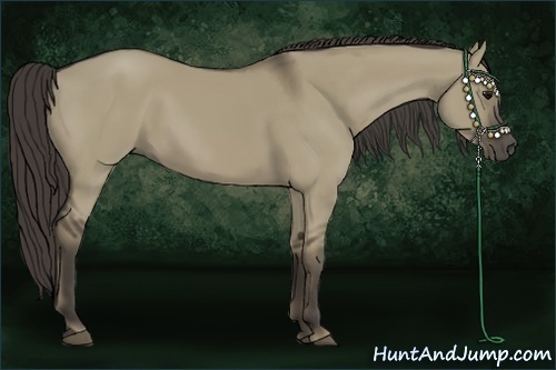 Horse Color:Smoky Grullo 