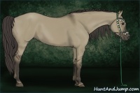 Horse Color:Smoky Grullo 