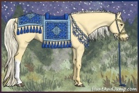 Horse Color:Palomino Dun