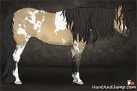 Horse Color:White Spotted Brown Dun 