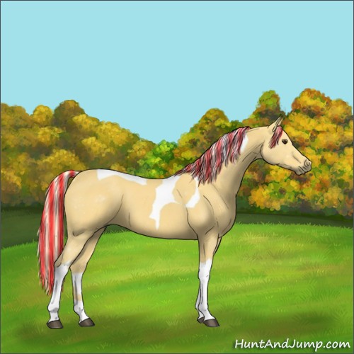 Horse Color:Painted Palomino Tobiano 