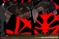 Horse Color:Brown Ice Tobiano 