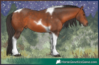 Horse Color:Bay Tobiano 