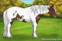 Horse Color:White Spotted Silver Brown Tobiano Appaloosa