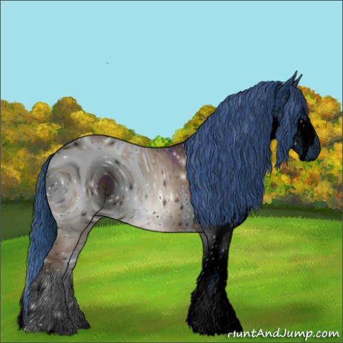 Horse Color:ERROR: UNKNOWN ANOMALY