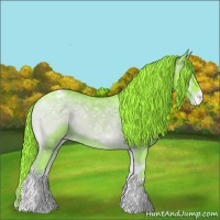 Horse Color:Watercolor Liver Red Onyx Ice Roan Appaloosa 