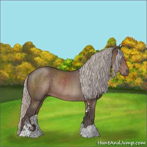 Horse Color:Silver Black Sabino Rabicano 