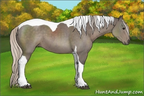 Horse Color:Silver Black Sabino Tobiano 