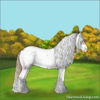 Horse Color:Chestnut Sabino