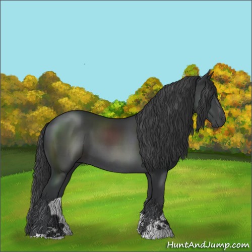 Horse Color:Black Sabino 