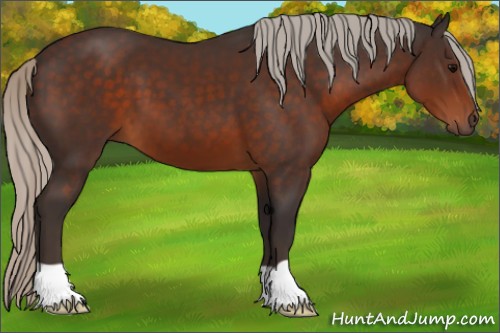 Horse Color:Silver Brown 