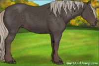 Horse Color:Silver Black 