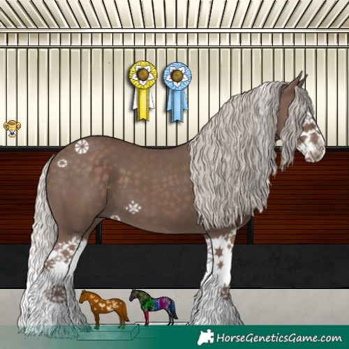 Horse Color:Silver Black Splash 