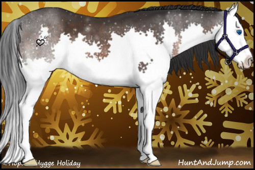 Horse Color:Brown Splash