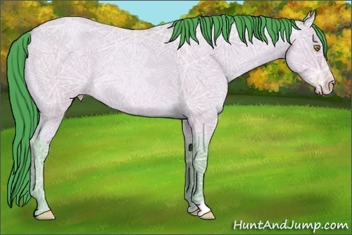 Horse Color:Watercolor Amber Champagne Ice Roan 