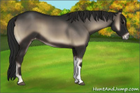 Horse Color:Gray Blue Onyx Varnish