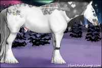 Horse Color:Black Ice Splash 