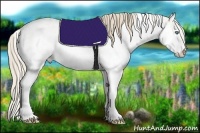 Horse Color:Smoky Creme Dun Sabino 