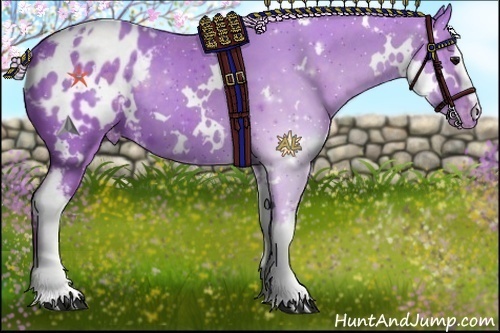 Horse Color:Watercolor White Spotted Silver Black Appaloosa 