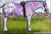 Horse Color:Watercolor White Spotted Silver Black Blanket 
