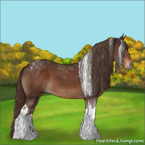 Horse Color:Liver Chestnut Tobiano