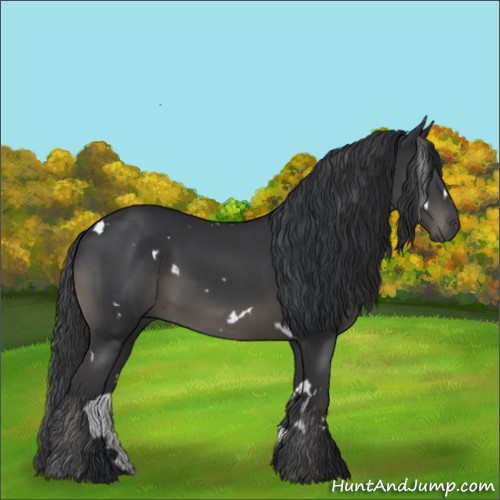 Horse Color:White Spotted Black