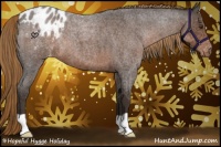 Horse Color:Liver Red Roan Appaloosa 