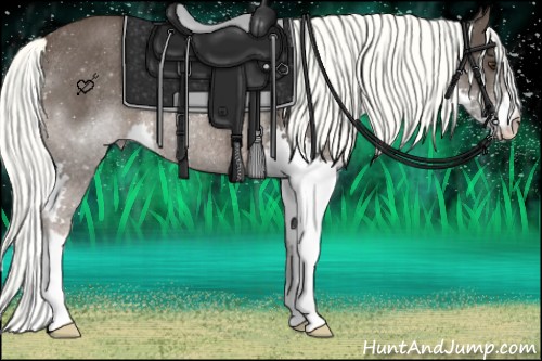 Horse Color:Liver Chestnut Splash Rabicano 